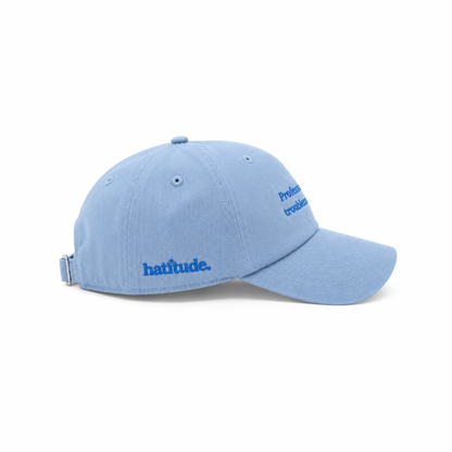 'Professional troublemaker' Kids Cap