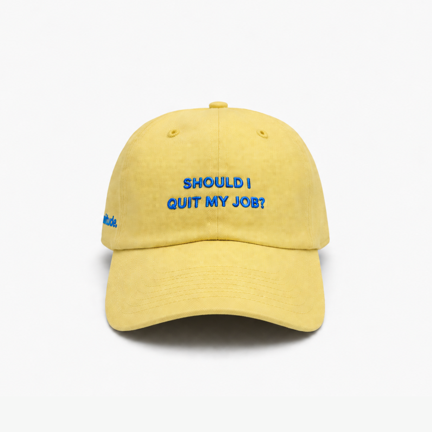 Should I quit my job?
